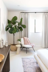 fig tree interior design Phoenix