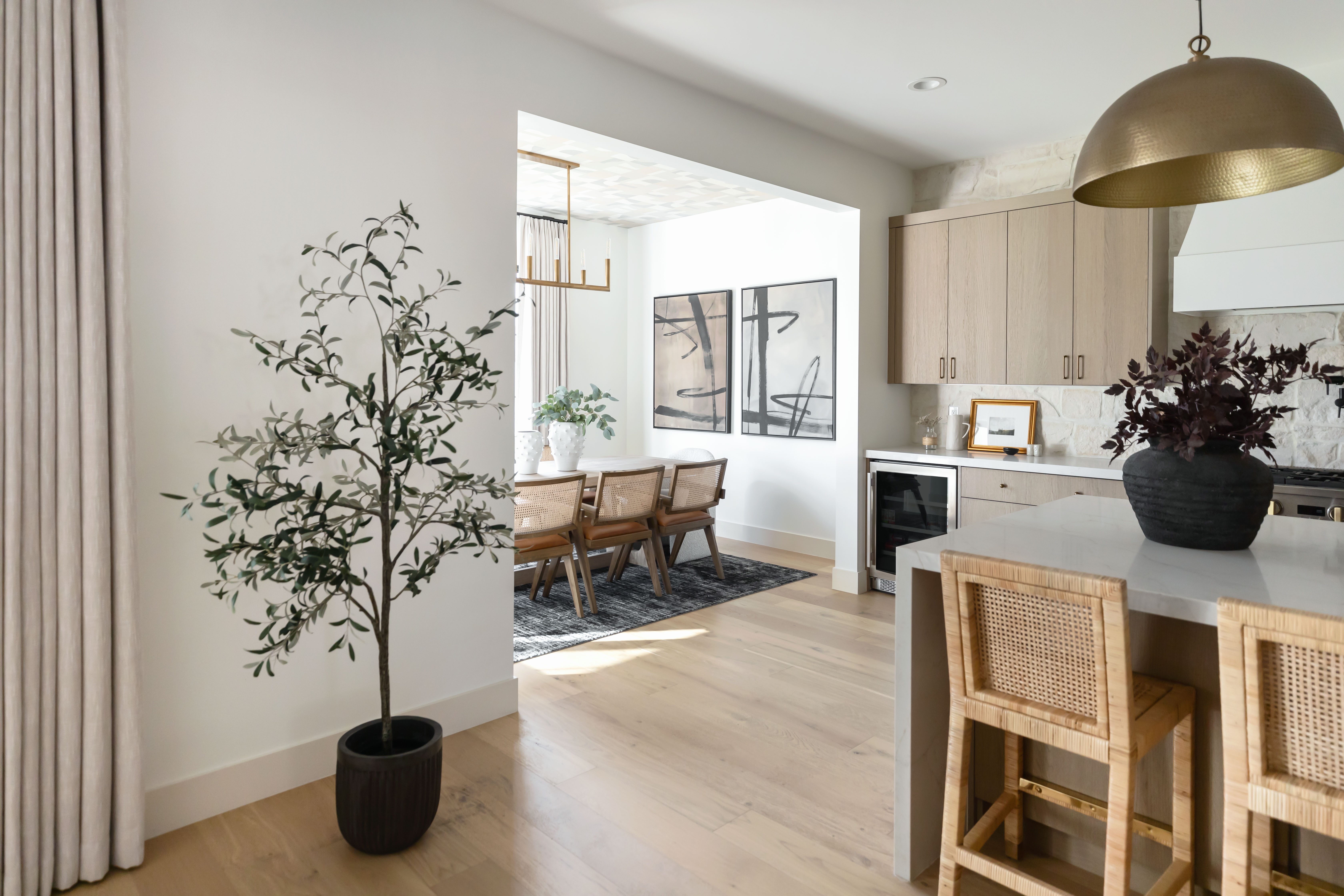 accent-plants-add-life-to-recently-designed-phoenix-property