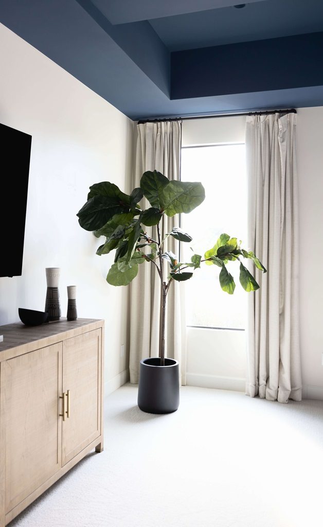  Living room with blue ceiling and green plant