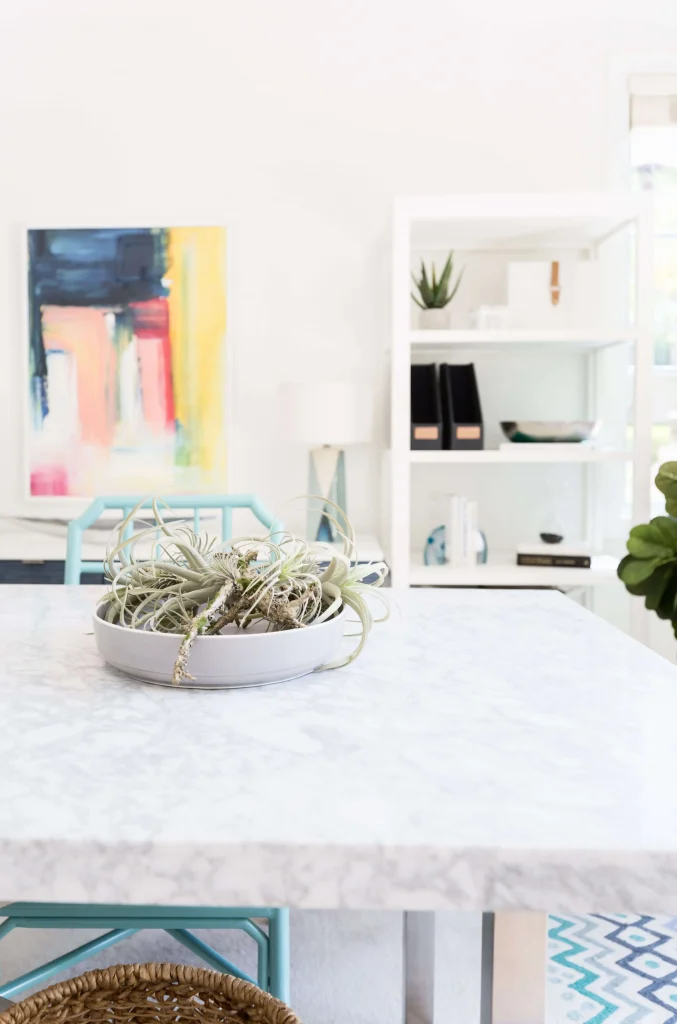 Close-up of a marble office desk with air plant centerpiece