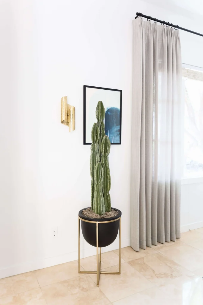 Tall cactus plant in black pot with gold stand near beige curtains and abstract wall art