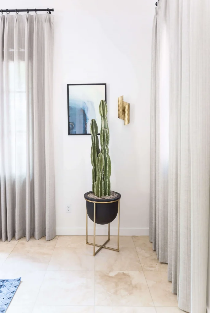 Tall cactus in black planter with gold stand near abstract art and gold wall sconce