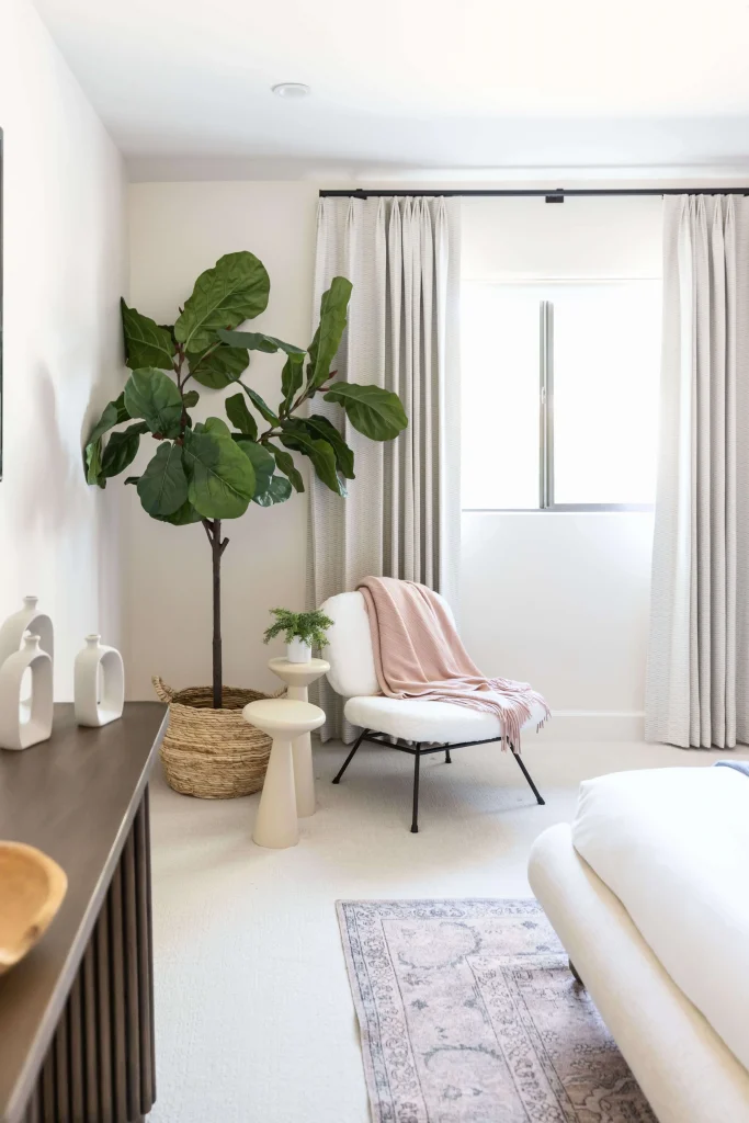 Light-filled reading nook with fiddle leaf fig and chair