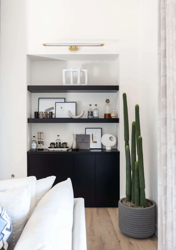 Home bar with shelves and cactus plant