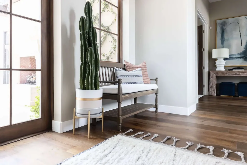 Entryway bench with cushions and tall cactus plant