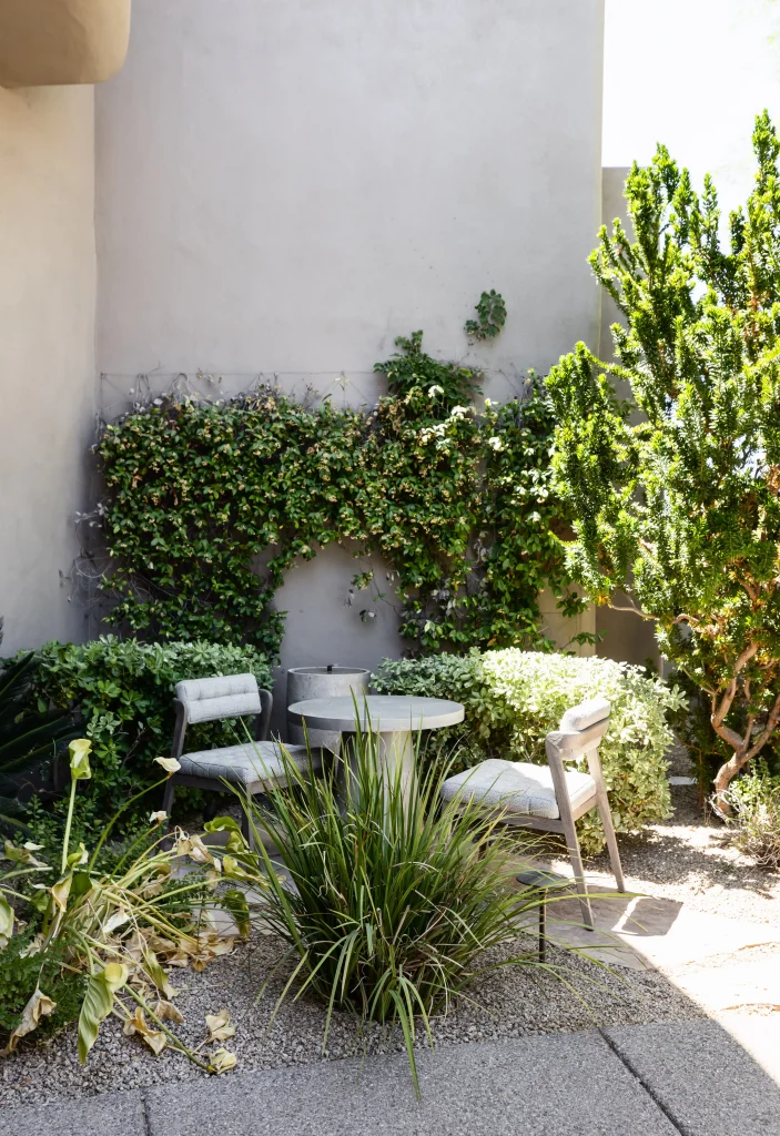 Modern courtyard with greenery and outdoor seating