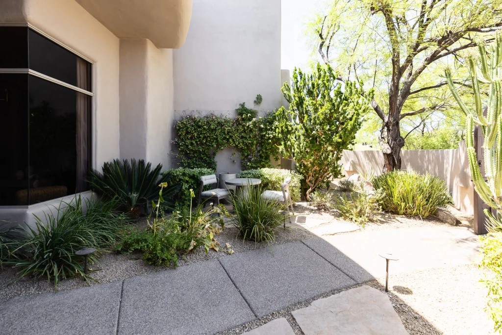 Shaded garden with chairs and greenery