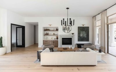Living Room Transitional Interior Design Ideas