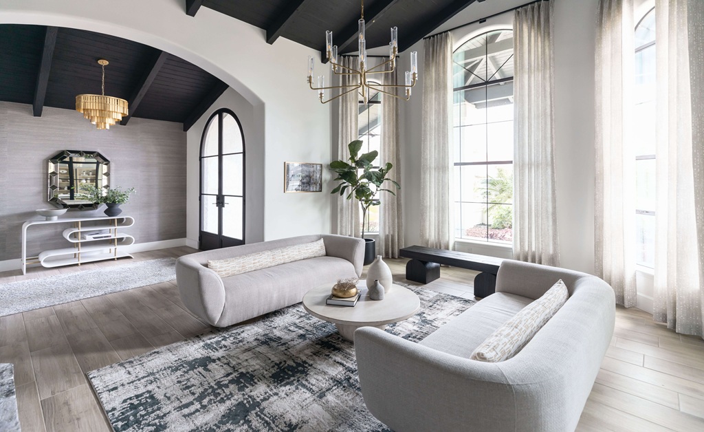 Bright living room with vaulted black ceiling