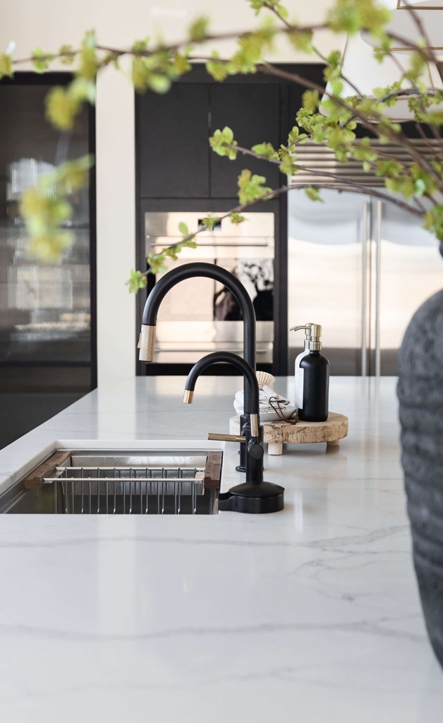 Modern Sink and Faucet 